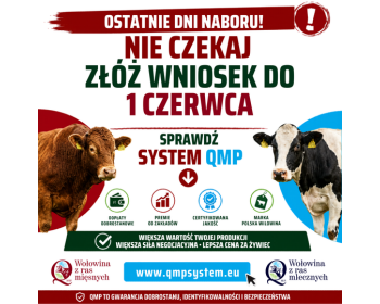Ekoschemat „Dobrostan zwierząt” Dodatkowe pieniądze dla hodowców z QMP – tylko do 1 czerwca!